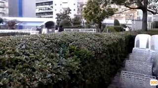 免费电影网
