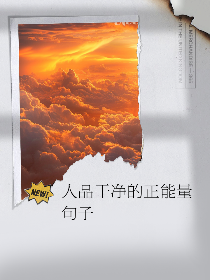 白玉无瑕打一字