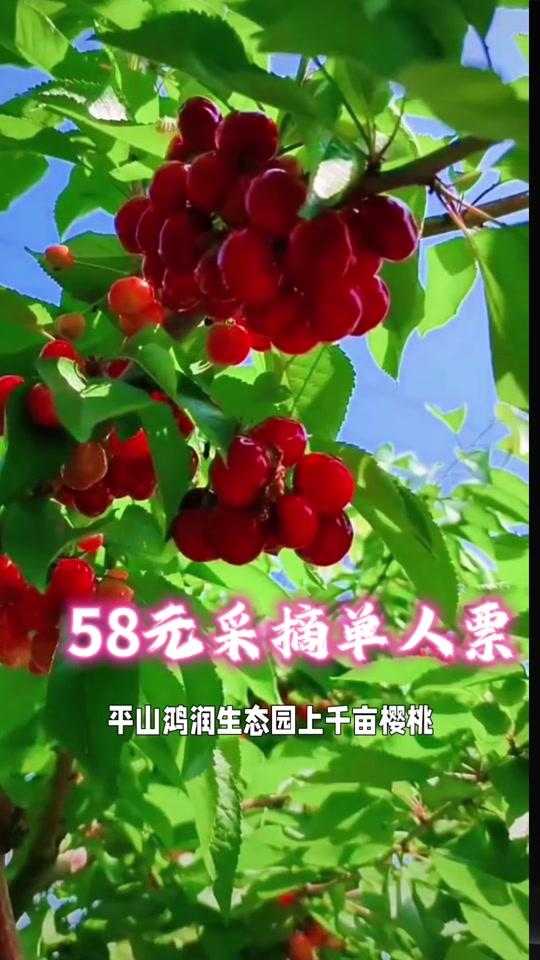 鸿润生态园