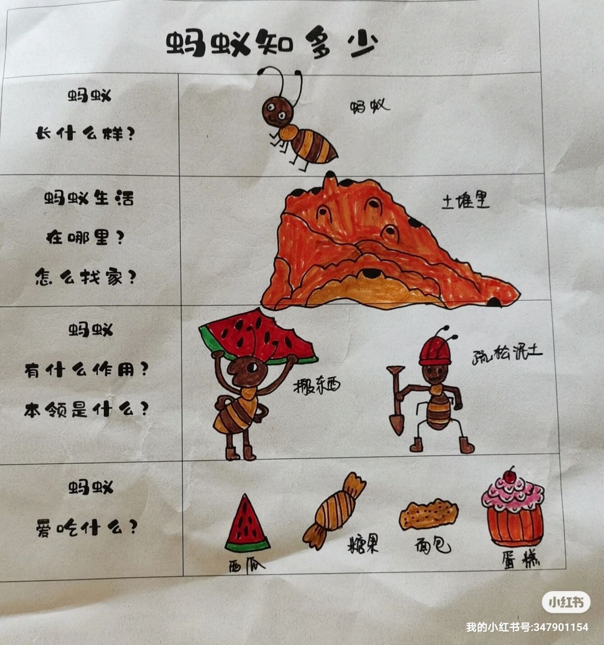1月5日蚂蚁庄园谜底