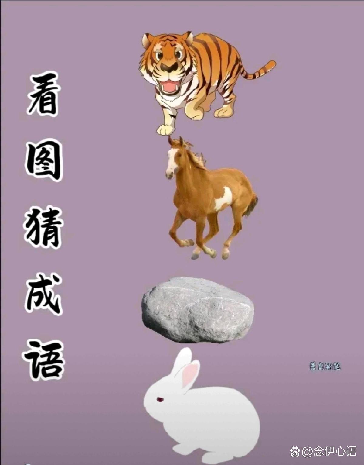 纸山君打一针言是什么