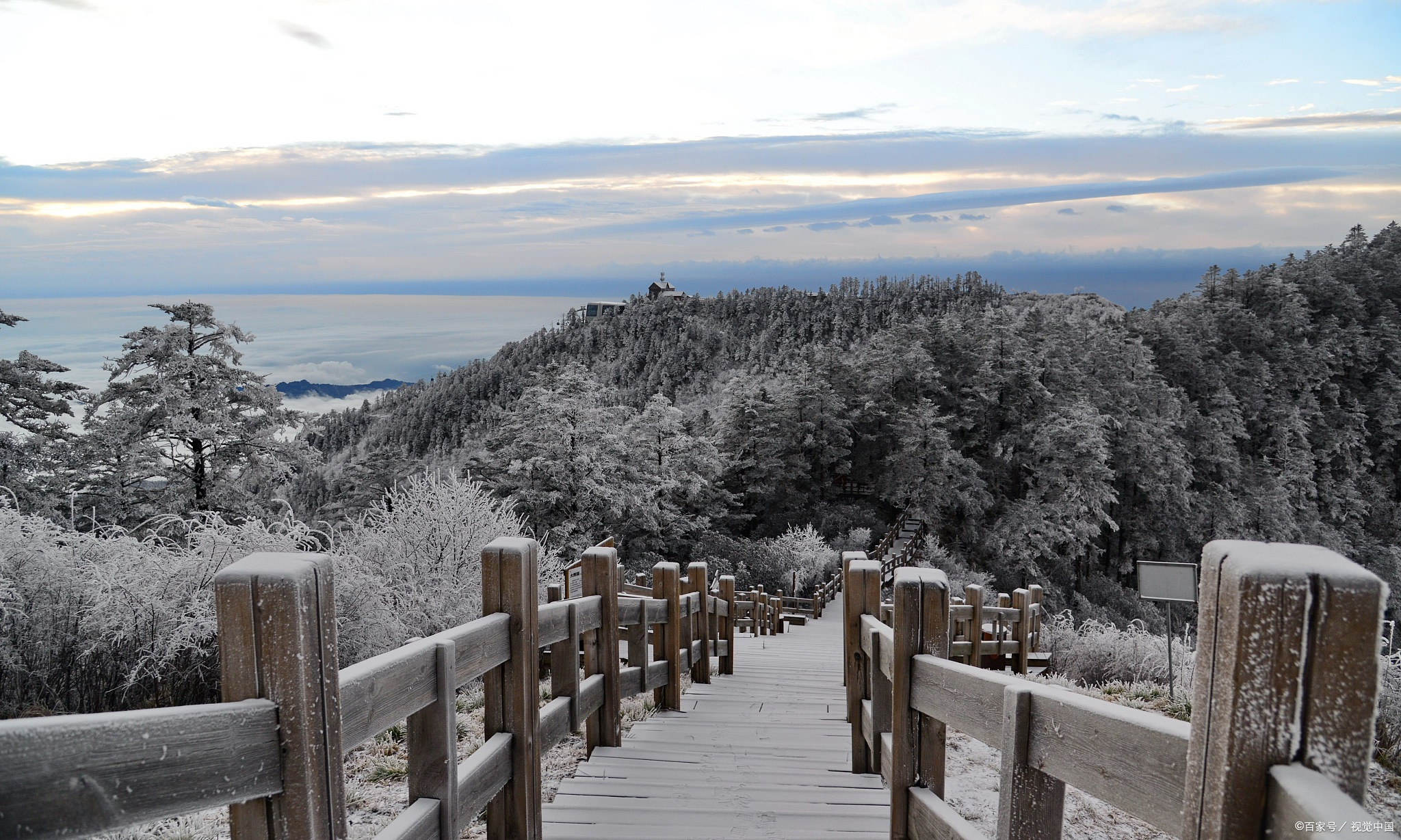 西岭雪