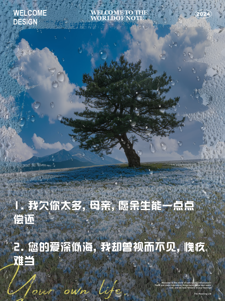 欠你太多