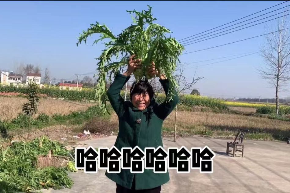 农村大妈抱自家蔬菜走秀
