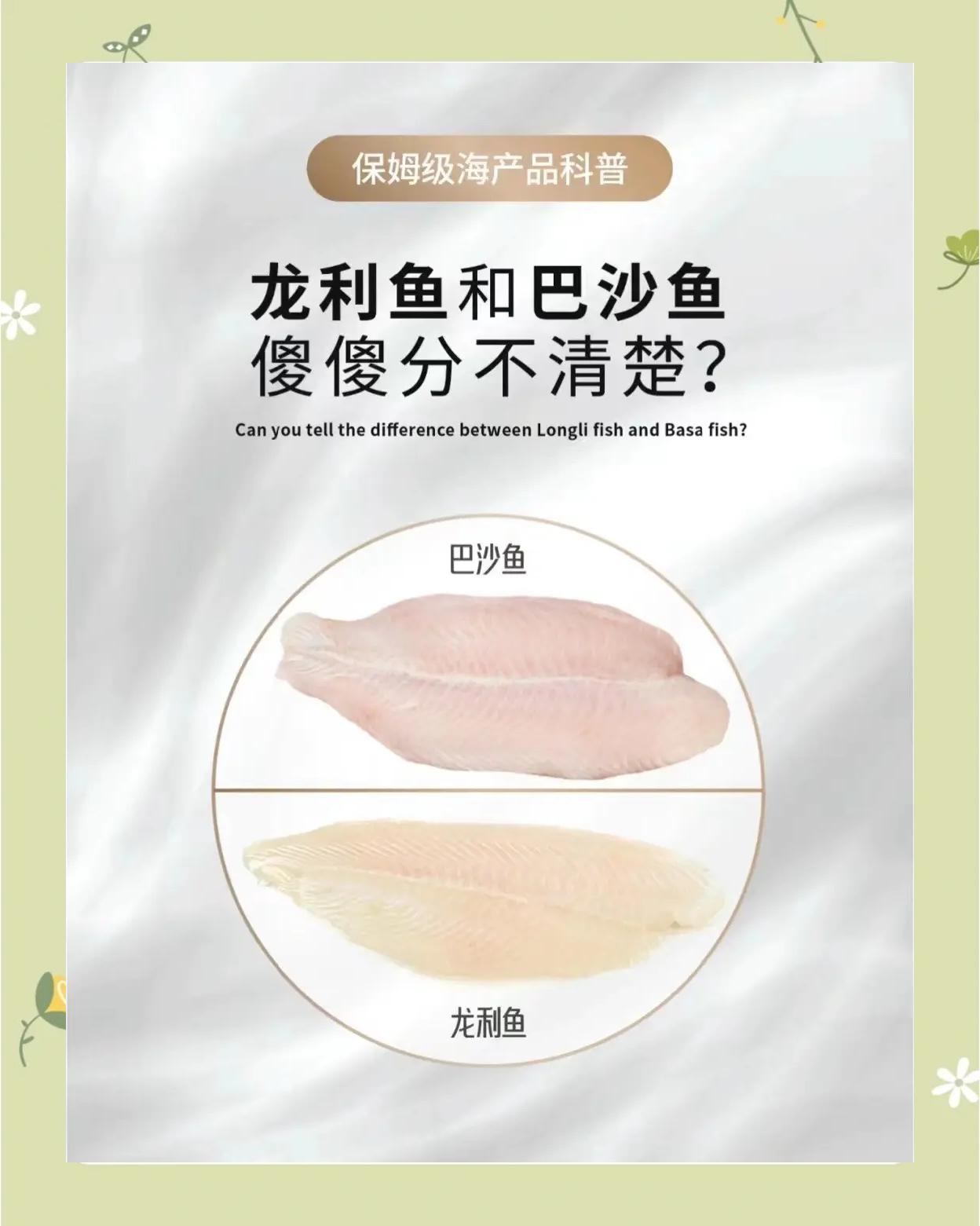 巴沙鱼片和龙利鱼片是同一种鱼吗