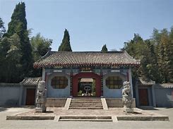 唯有杜康蚂蚁庄园