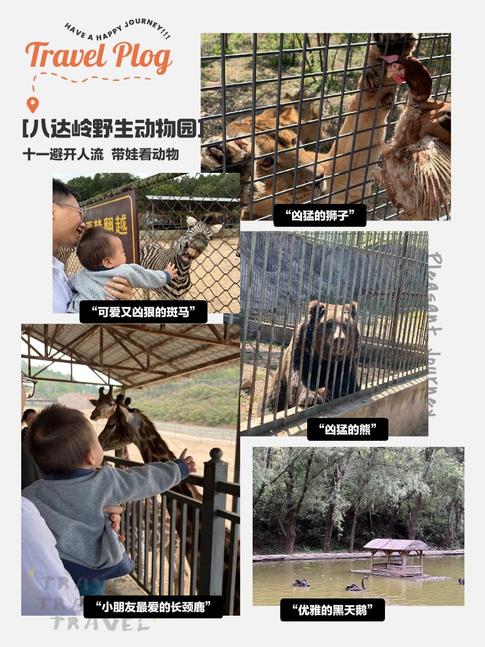 八达岭野活泼物园门票