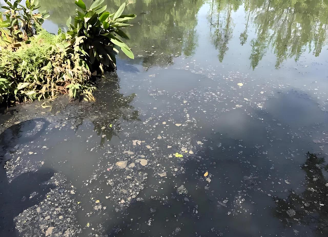 养鱼场水质变黑臭