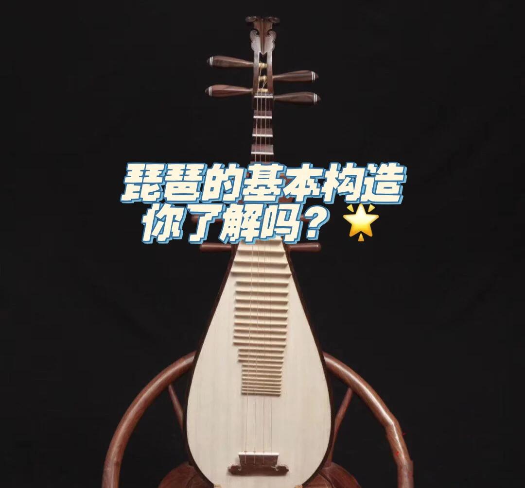 乐器琵琶本名批把批把一词来历于