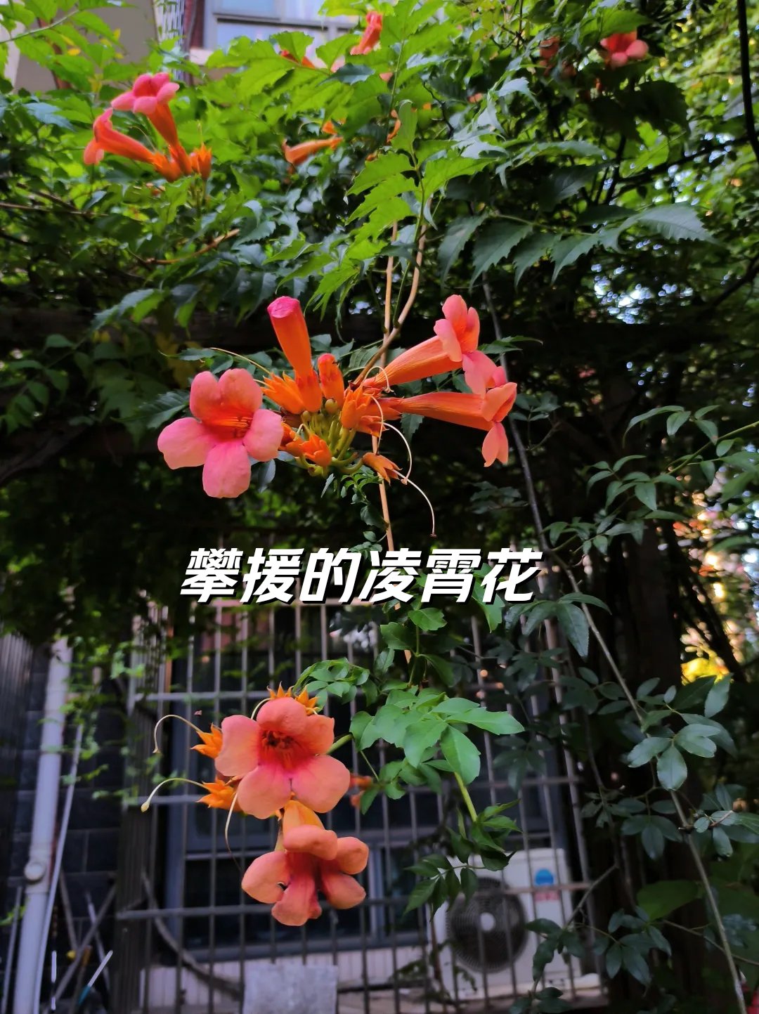 什么是春情动矣