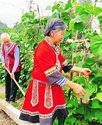 宗小满