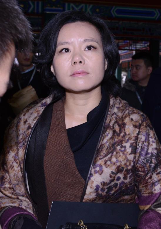 龚琳娜材料