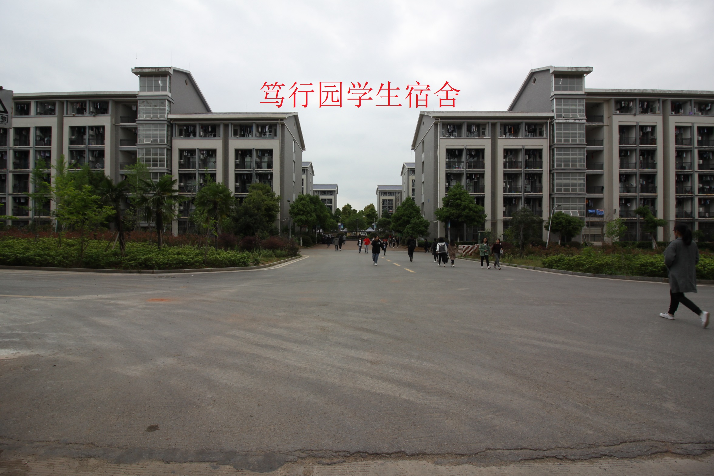 湖南大学衡阳分校