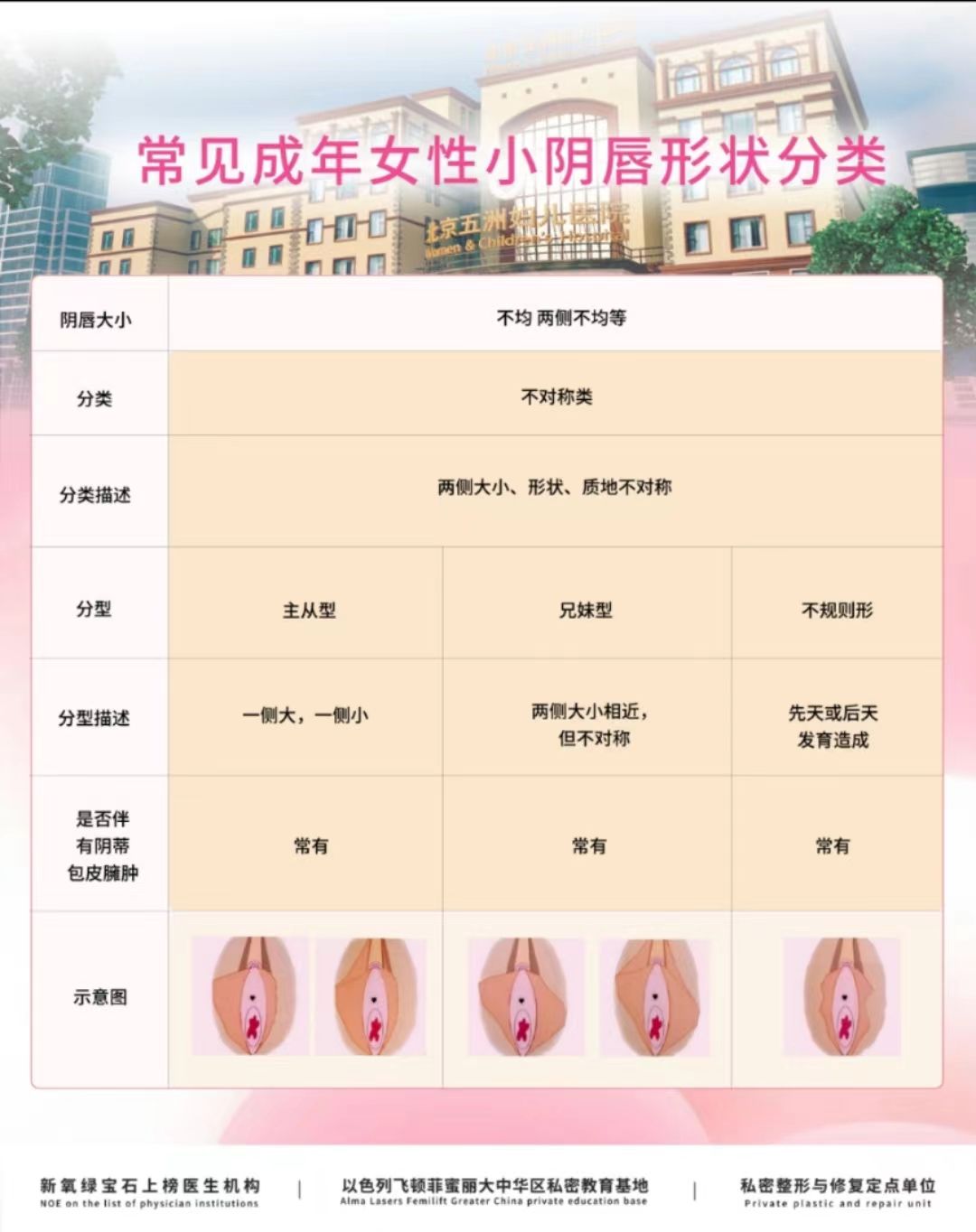 女子阴阳口的样子破解版