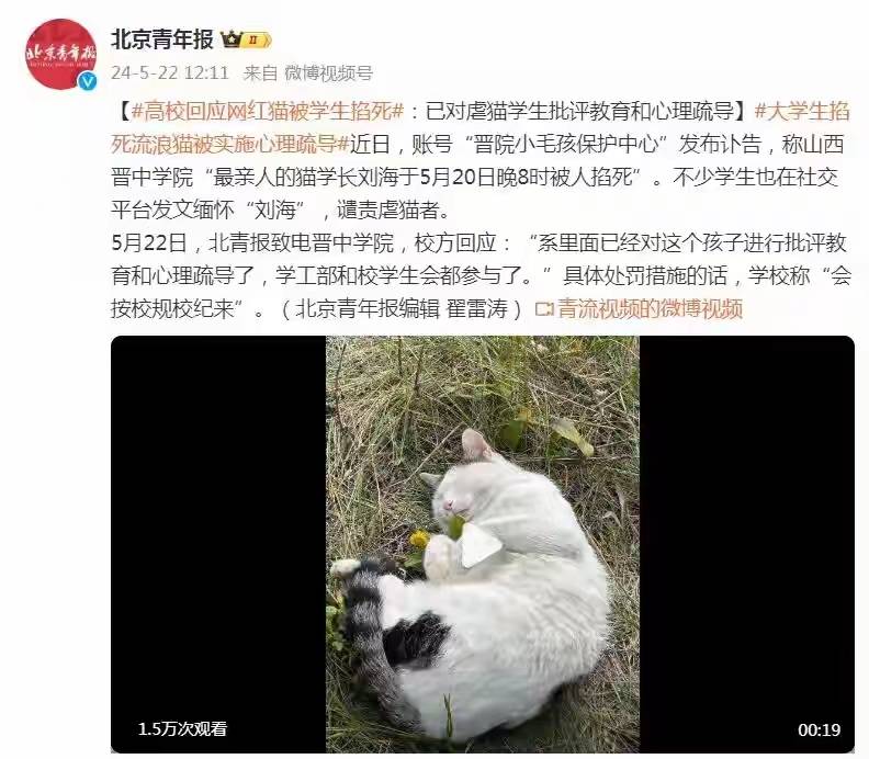 蒋勤勤回应虐猫争议