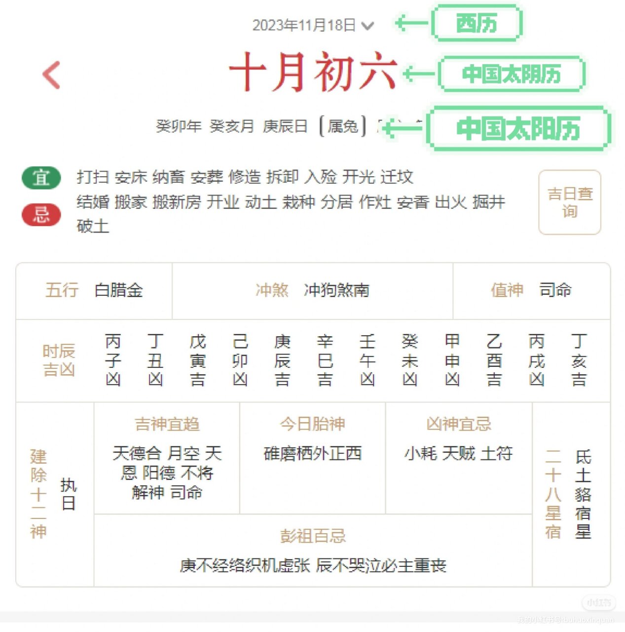 什么是未亡人年