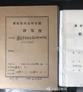 关于袁隆平杂交水稻论文原始手稿的信息