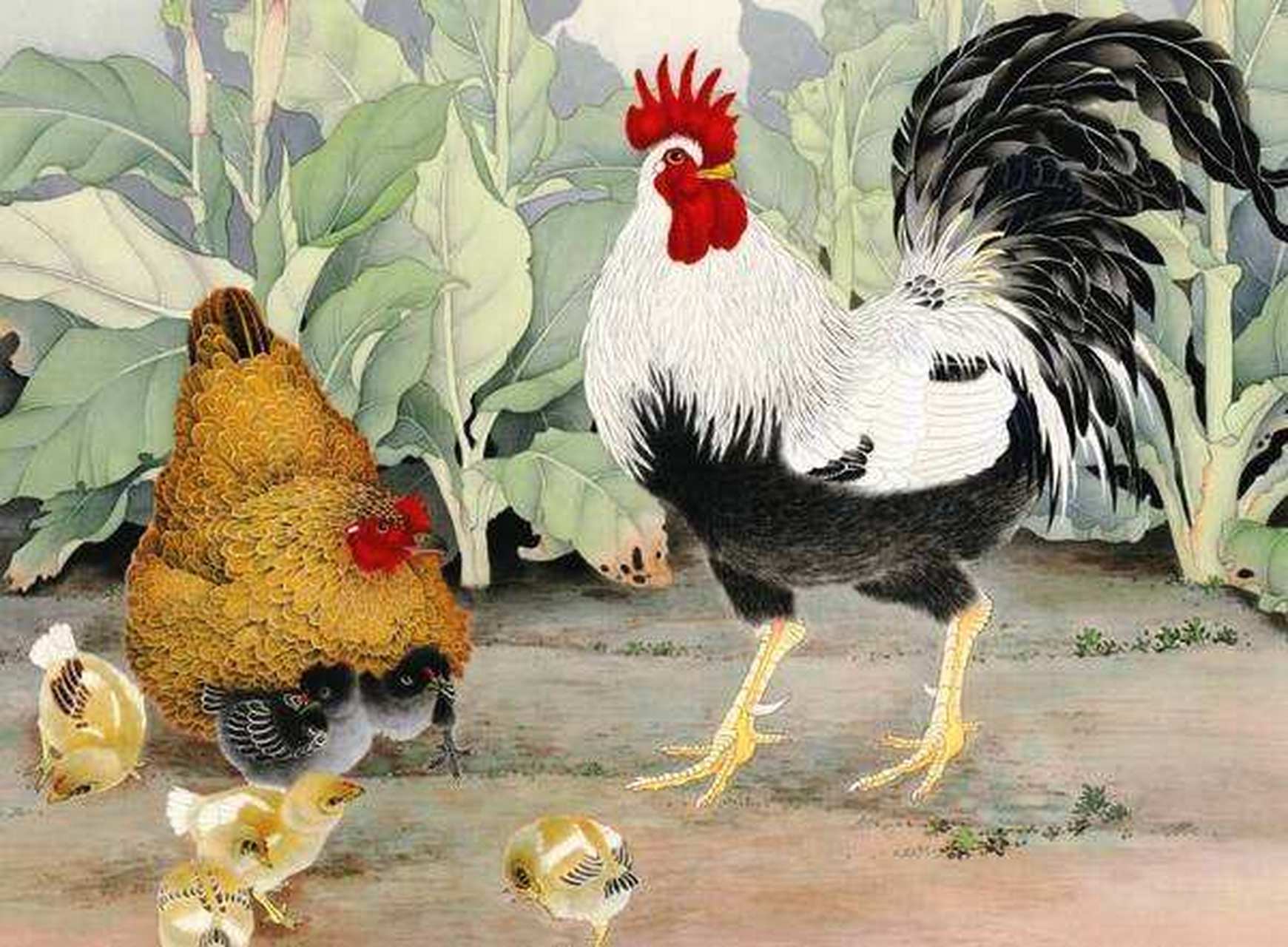 极寒交织是什么生肖