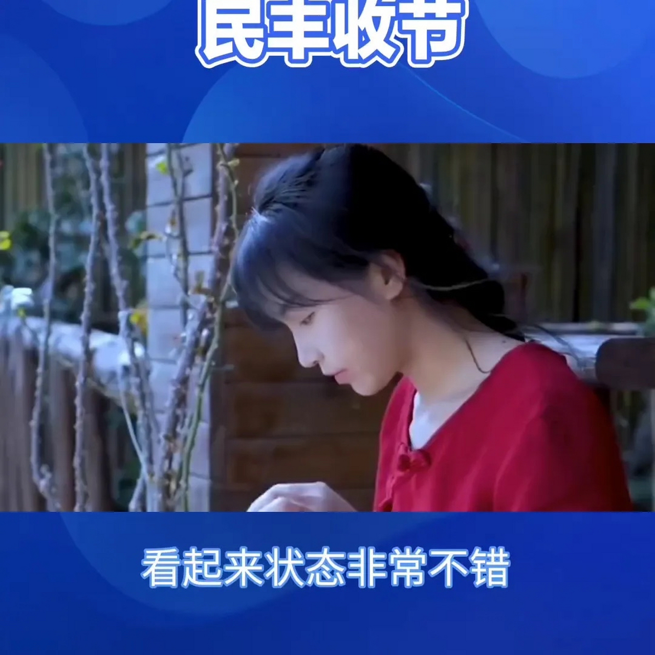 李子柒事件是怎么回事