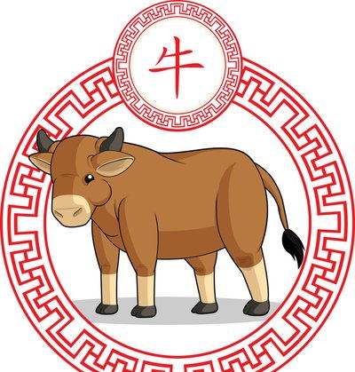 对于脆而不坚是什么意思打毕生肖的信息