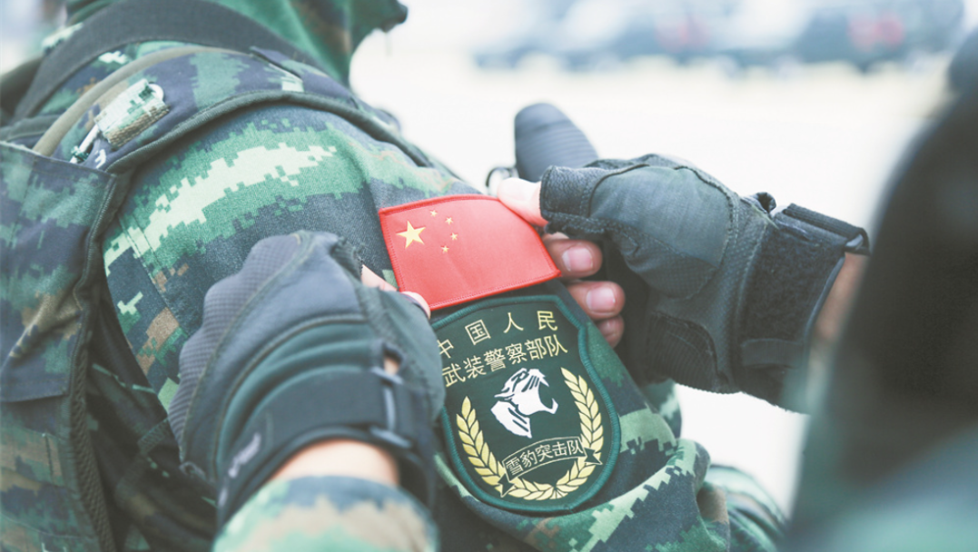 雪狼突击队