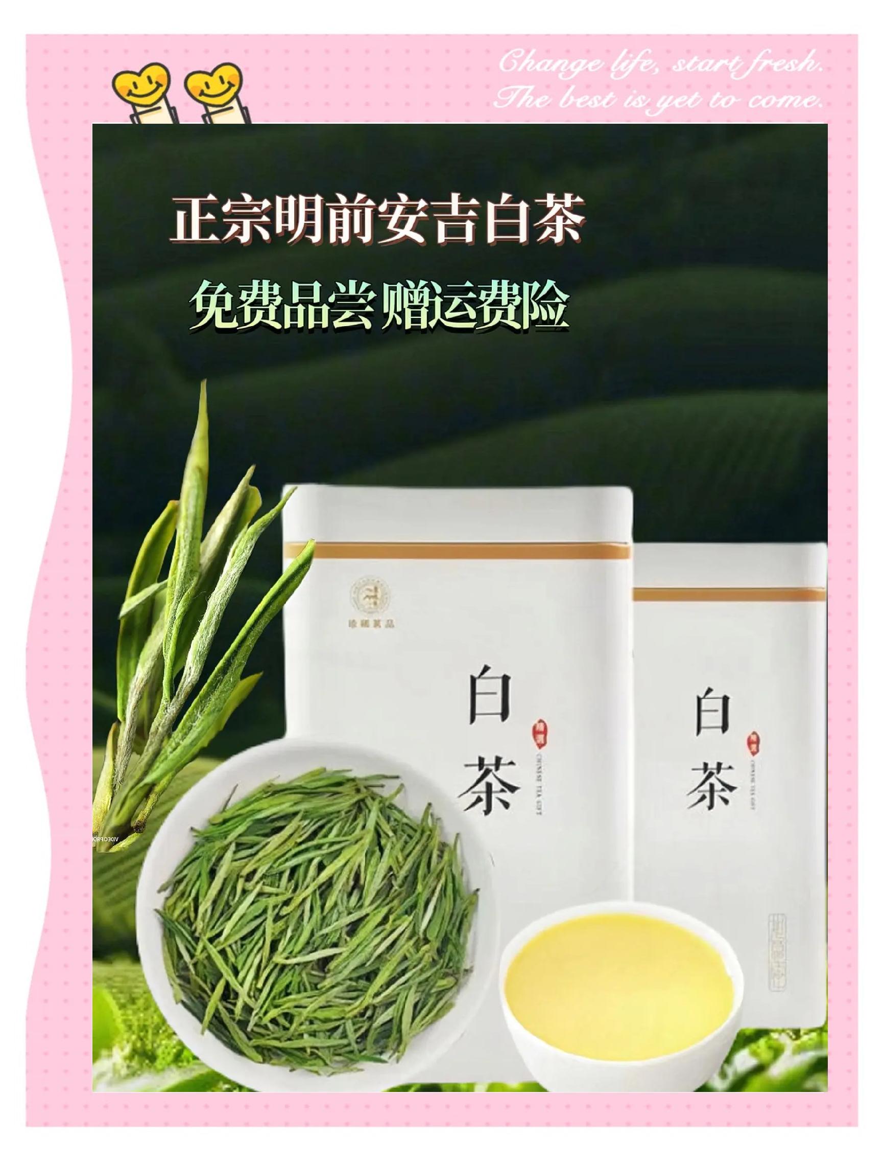 安吉白茶的成效与作用