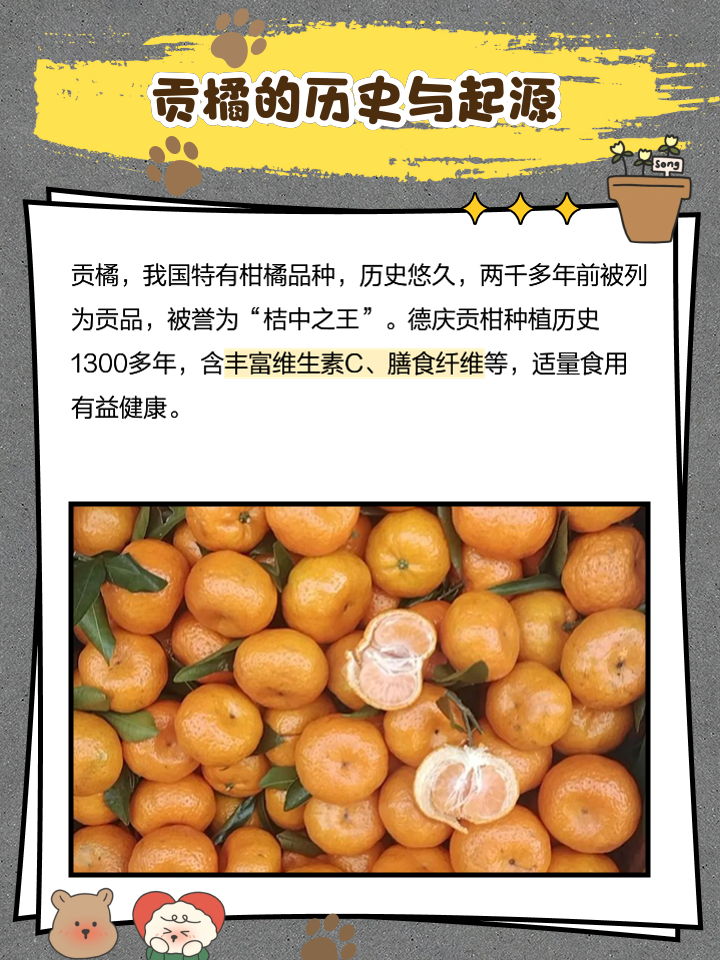 芦柑的营养价值