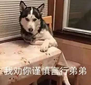 网络语airdrop是什么意思