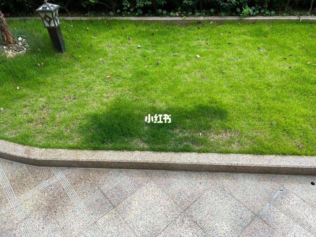 尿浇花
