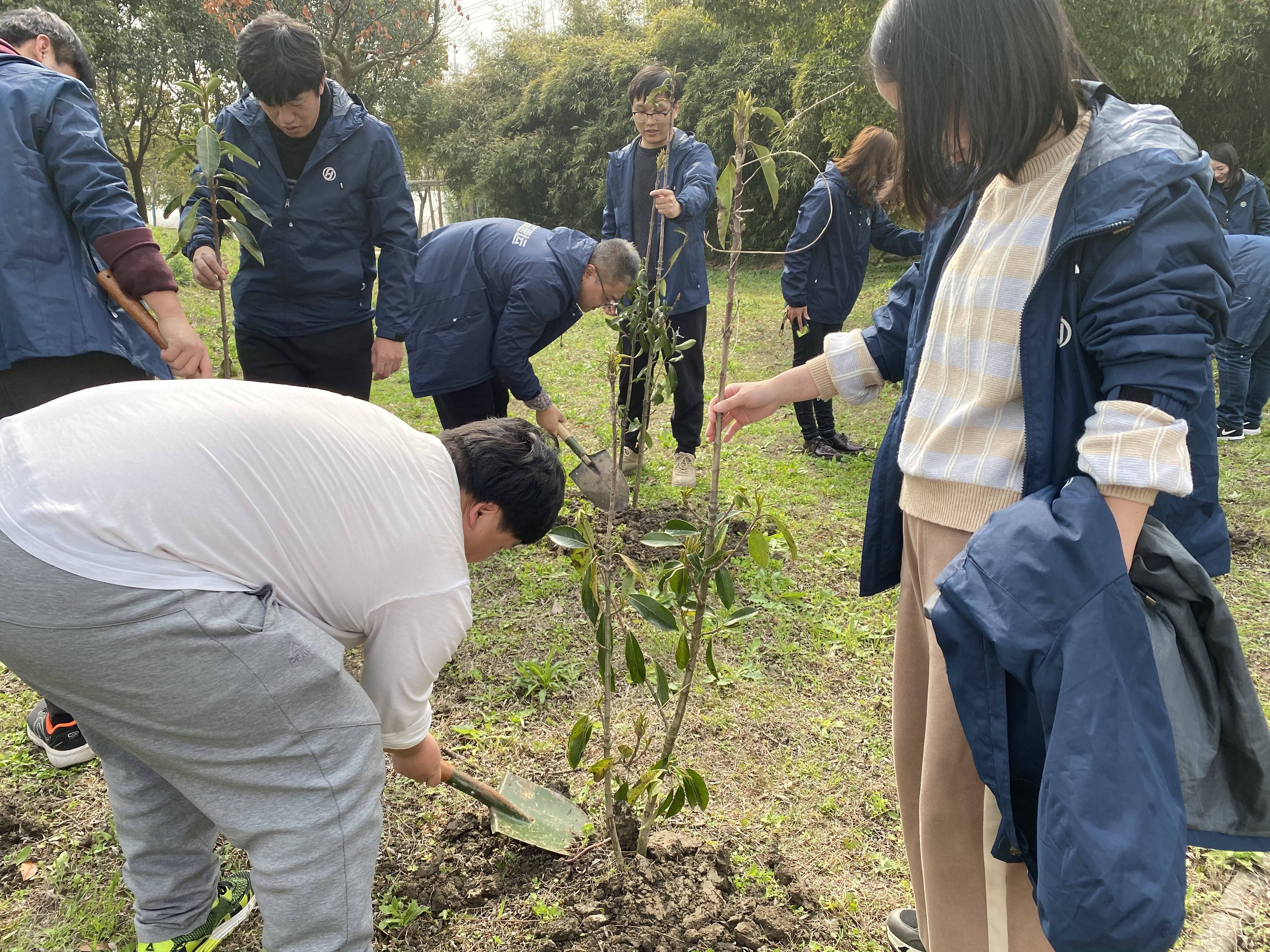 永兴岛开始种菜