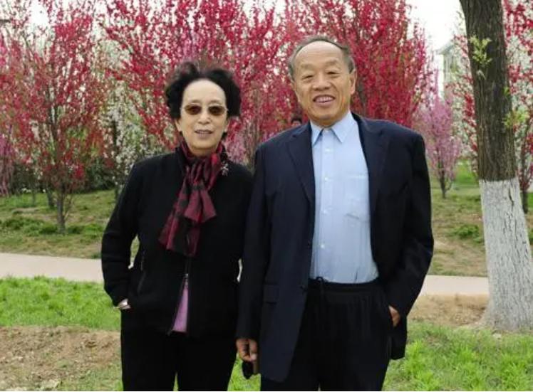 李禾禾
