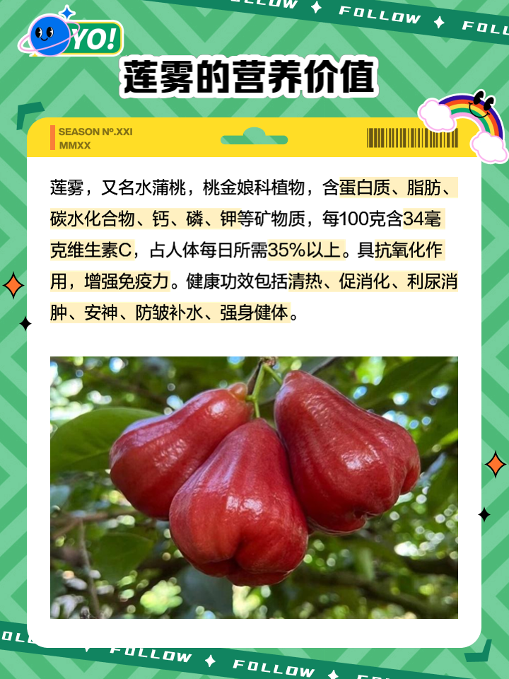 莲雾的营养代价