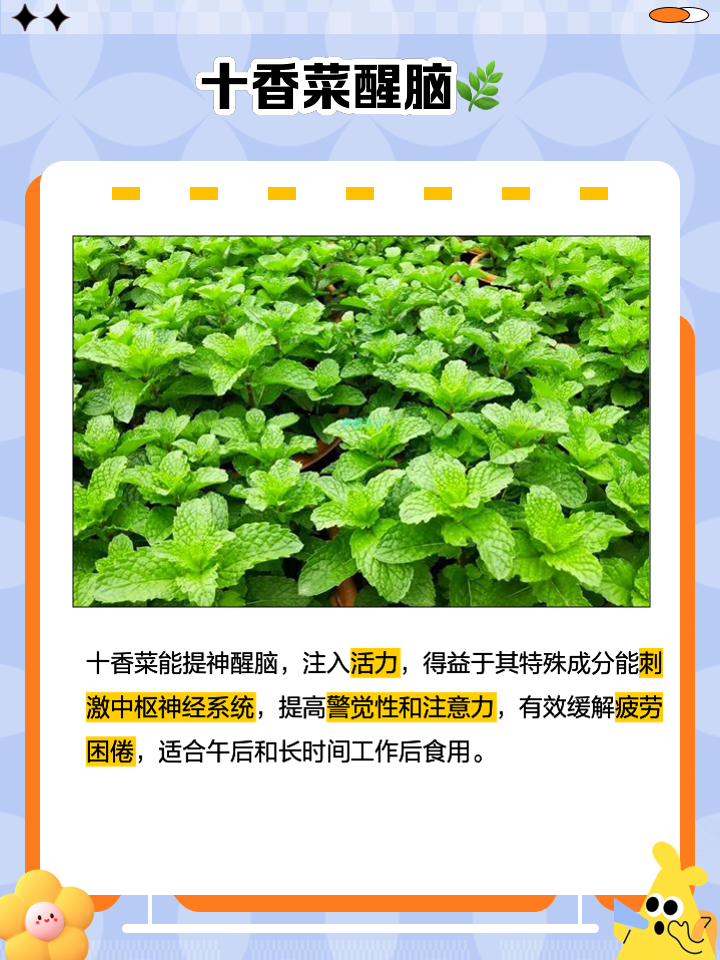 十香菜