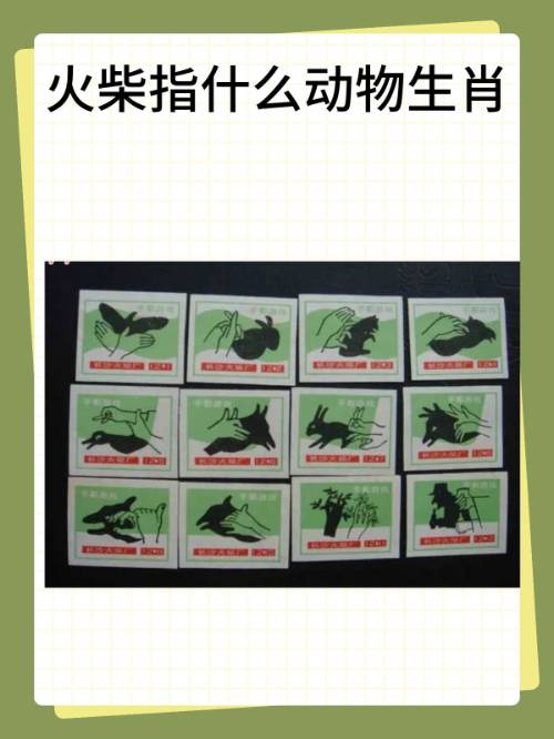 小家碧玉是什么生肖