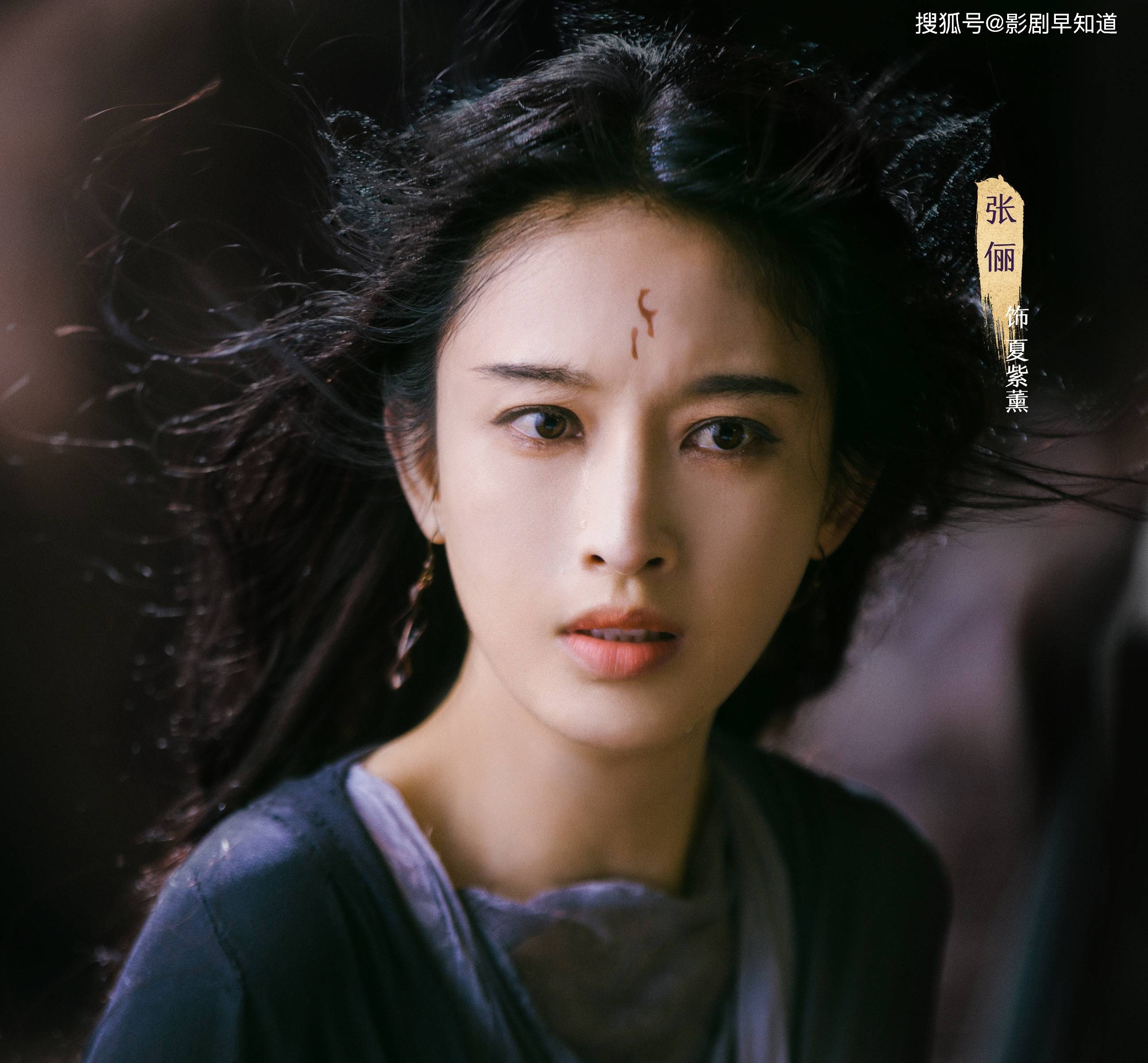 夏紫熏