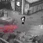 沉寂杀手成绩