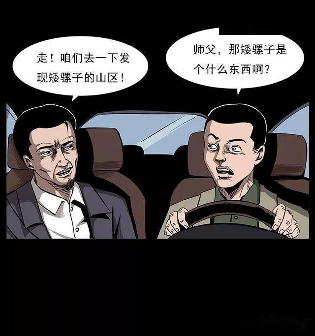 矮骡子