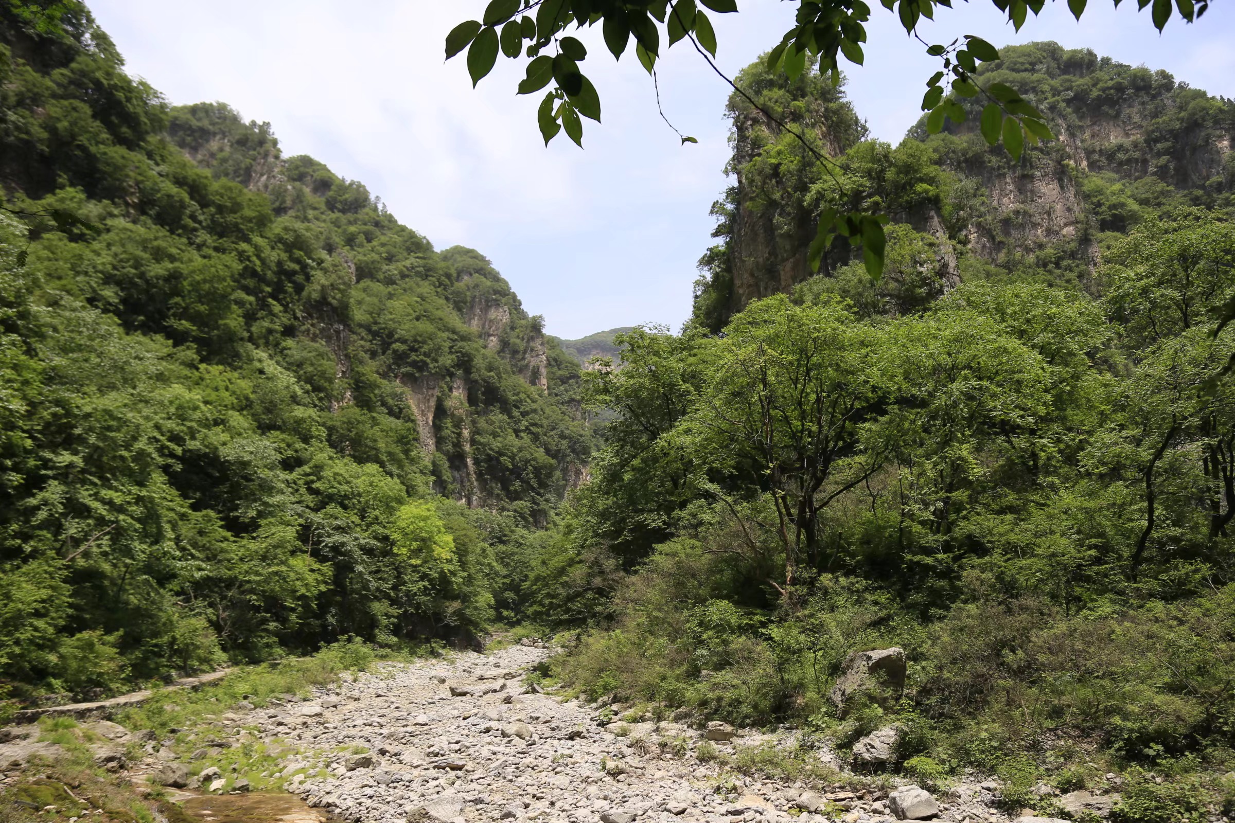 蟒河景色区