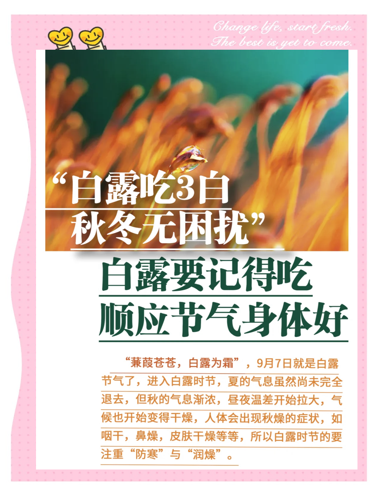 白露吃什么传统食物?