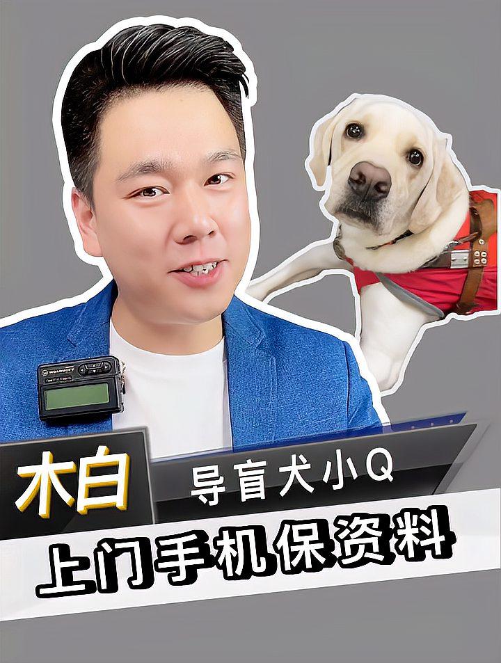 导盲犬小q都雅吗
