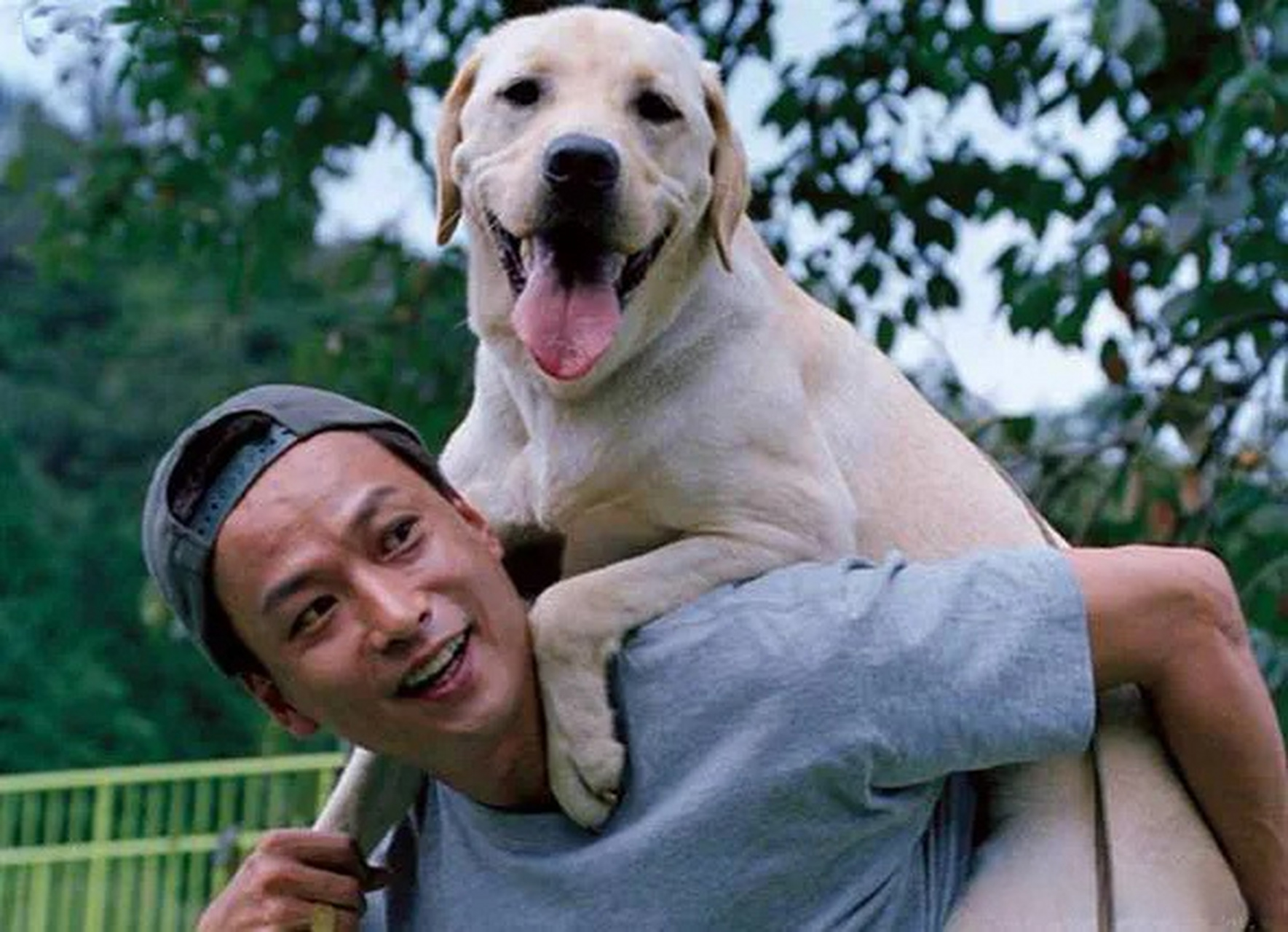 导盲犬小q都雅吗