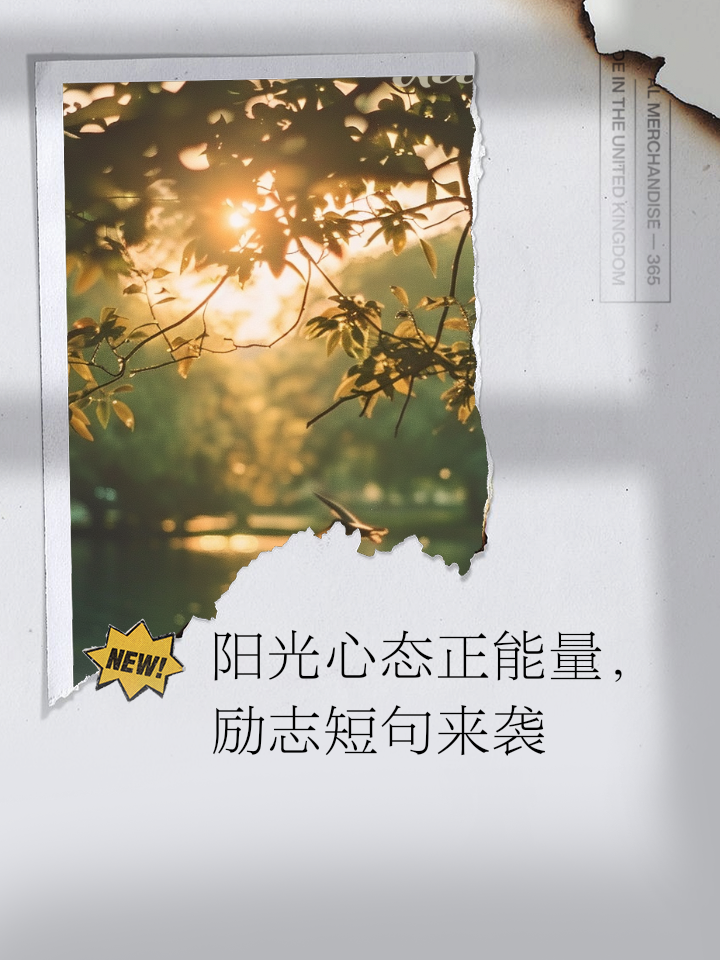 正能量阳光心态的句子