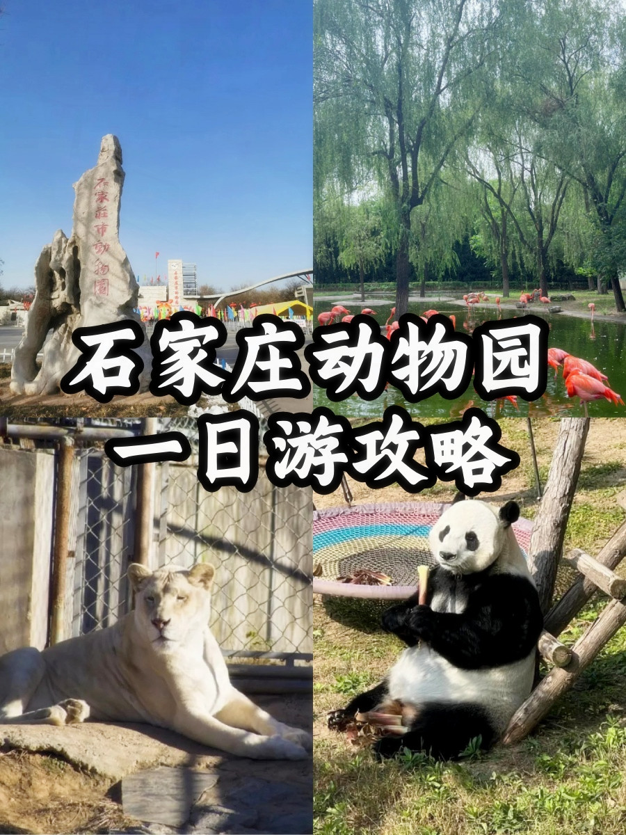 石家庄动物园门票团购
