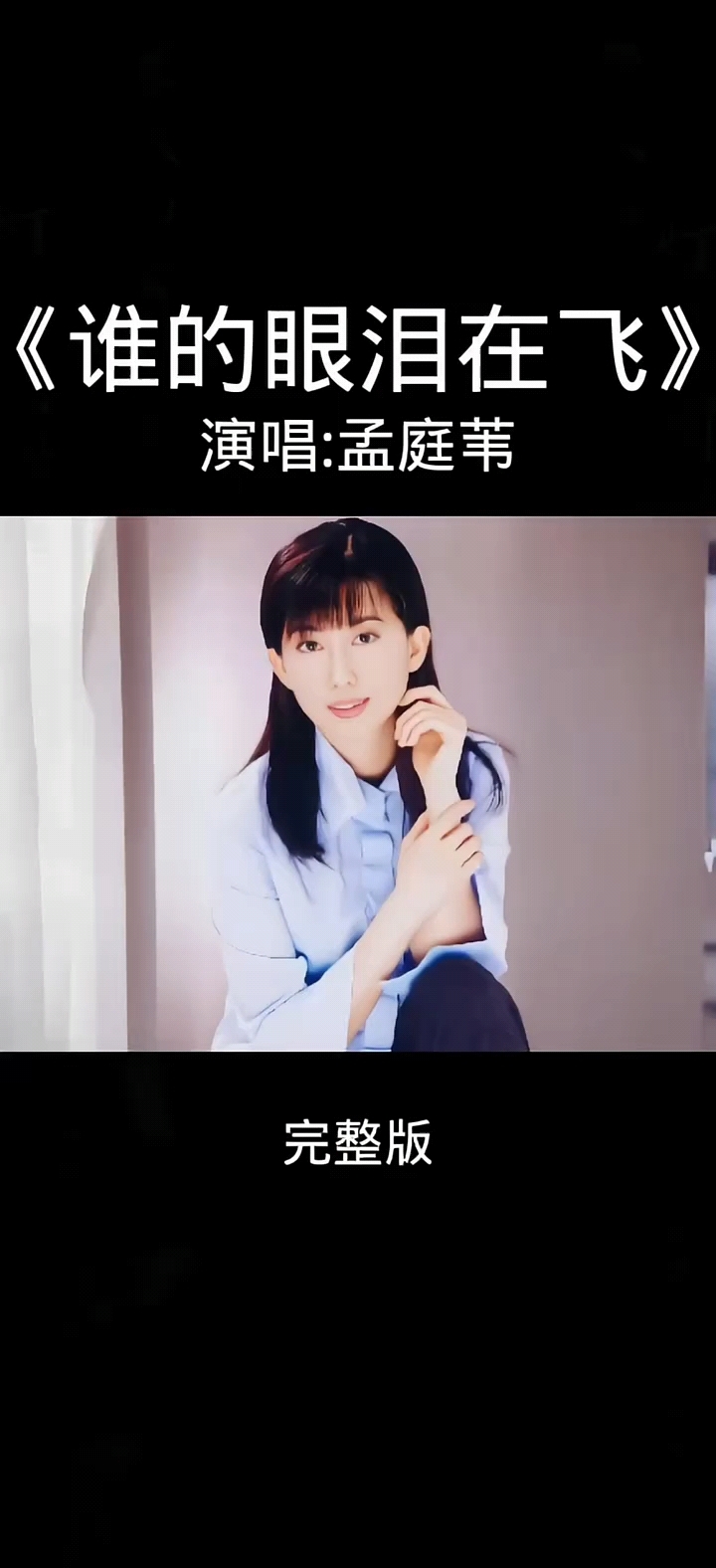 孟庭苇团体材料简介