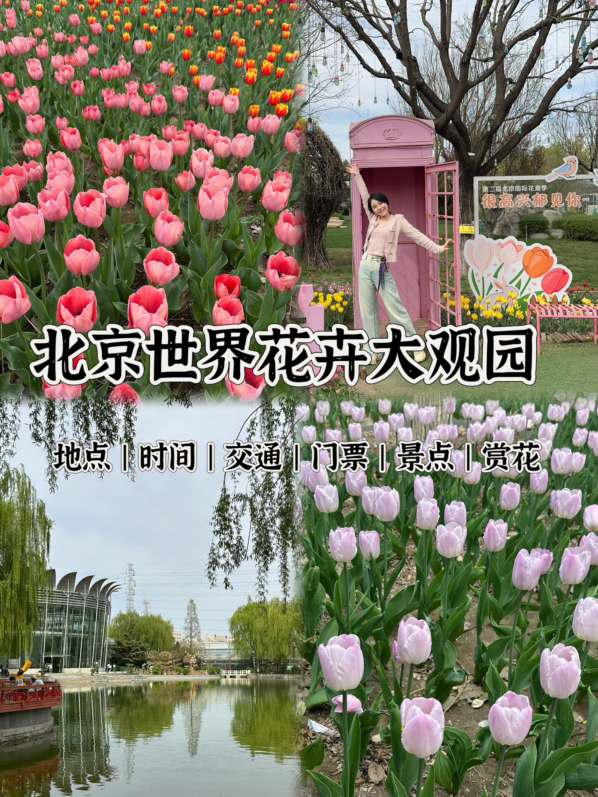 世界花卉大观园门票