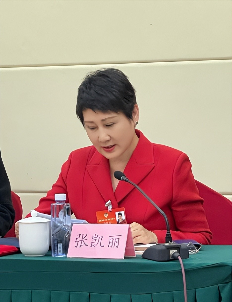 张凯丽向故乡吉林捐钱100万抗疫