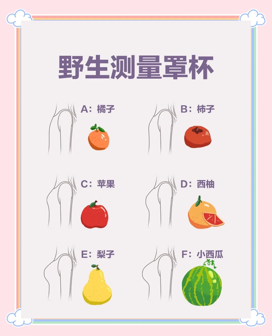 c罩杯是什么意思