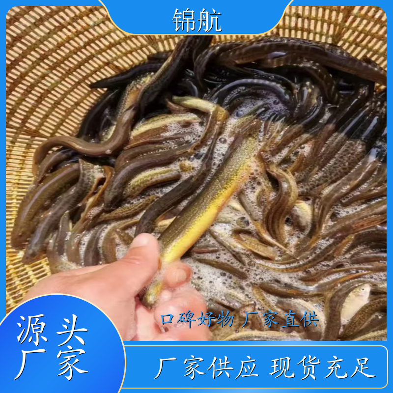 室内养殖泥鳅设备