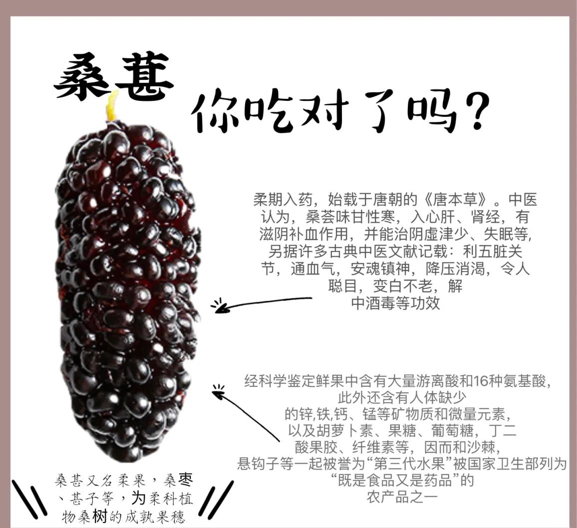 4类人群不宜吃桑葚