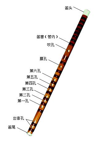 笛膜的贴法